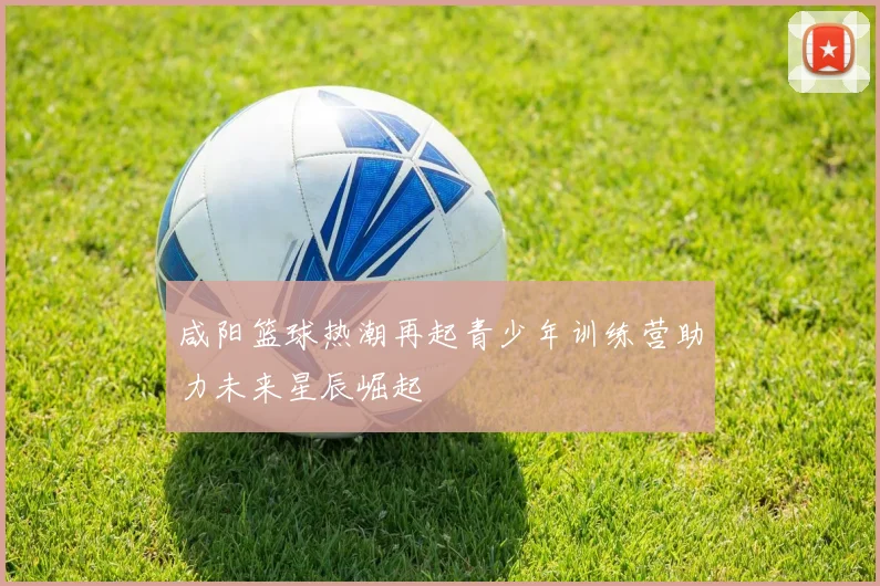 咸阳篮球热潮再起青少年训练营助力未来星辰崛起