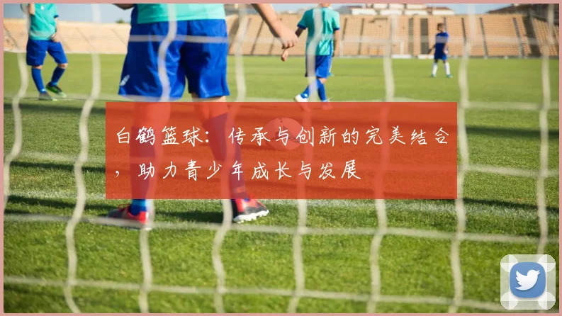 白鹤篮球：传承与创新的完美结合，助力青少年成长与发展